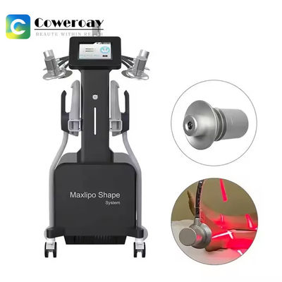 6D Lipo Lazer 532nm Kas Geliştirme ve Yağ Çözme Makinesi Üretici