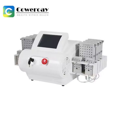 4D Lipo Diode Lazer Yağ Yakıcı İğne Makinesi Lipolaser Hızlı İğne